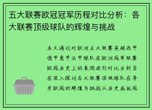 五大联赛欧冠冠军历程对比分析：各大联赛顶级球队的辉煌与挑战