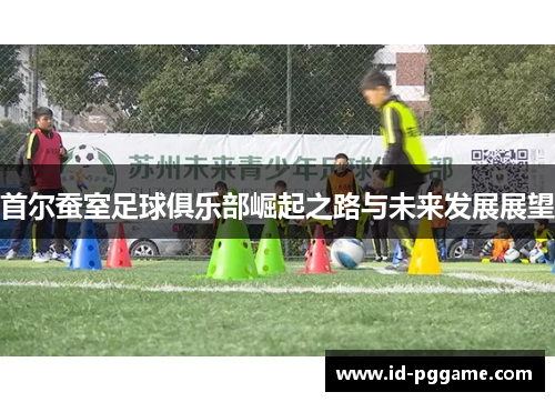首尔蚕室足球俱乐部崛起之路与未来发展展望