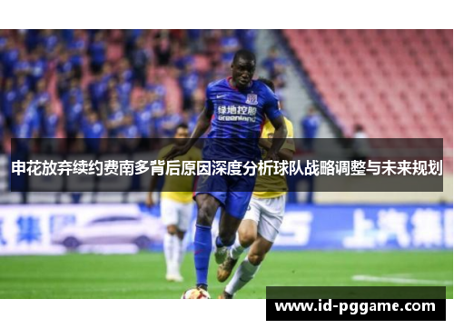 申花放弃续约费南多背后原因深度分析球队战略调整与未来规划