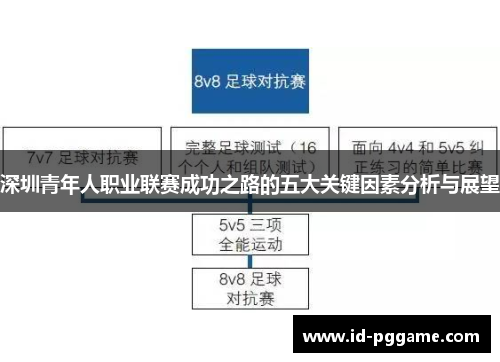 深圳青年人职业联赛成功之路的五大关键因素分析与展望