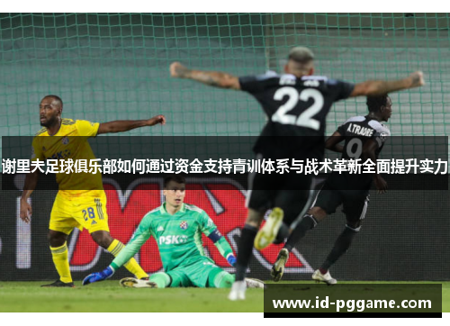 谢里夫足球俱乐部如何通过资金支持青训体系与战术革新全面提升实力 谢里夫足球俱乐部如何通过资金支持青训体系与战术革新全面提升实力